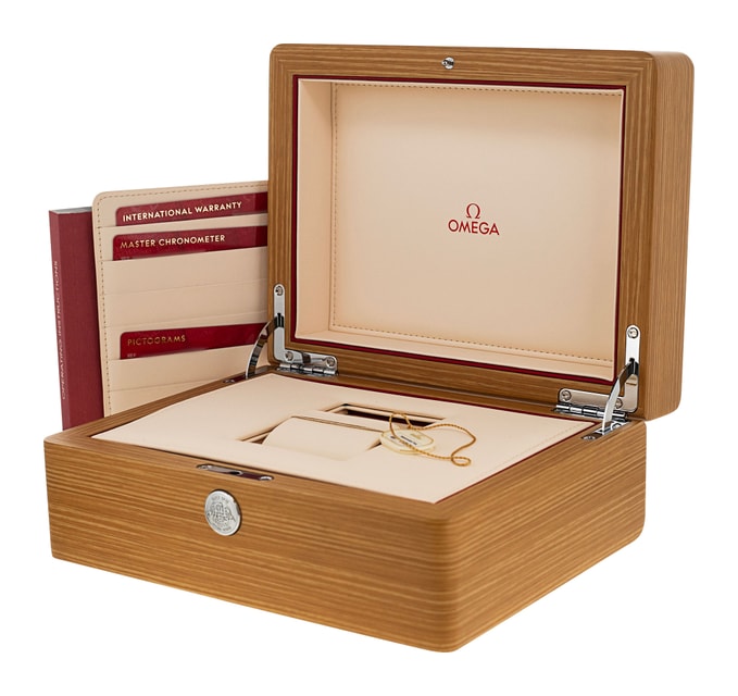 Omega Aqua Terra 150m Gents 220.12.43.22.03.002 Image 4